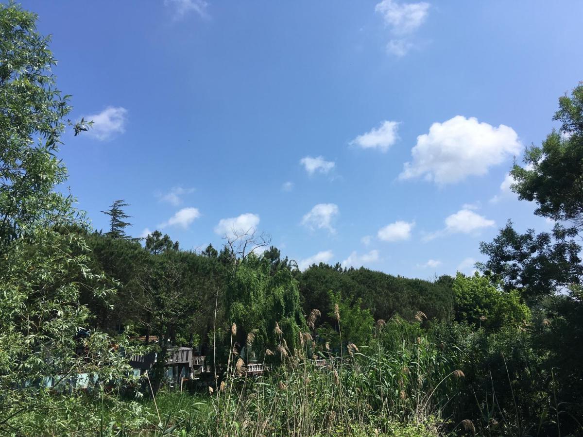 Shila Doert Mevsim Tatil Koyu Hotel Şile Luaran gambar