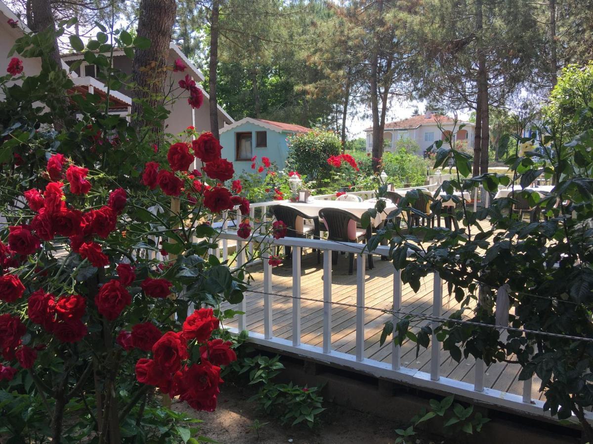 Shila Doert Mevsim Tatil Koyu Hotel Şile Luaran gambar