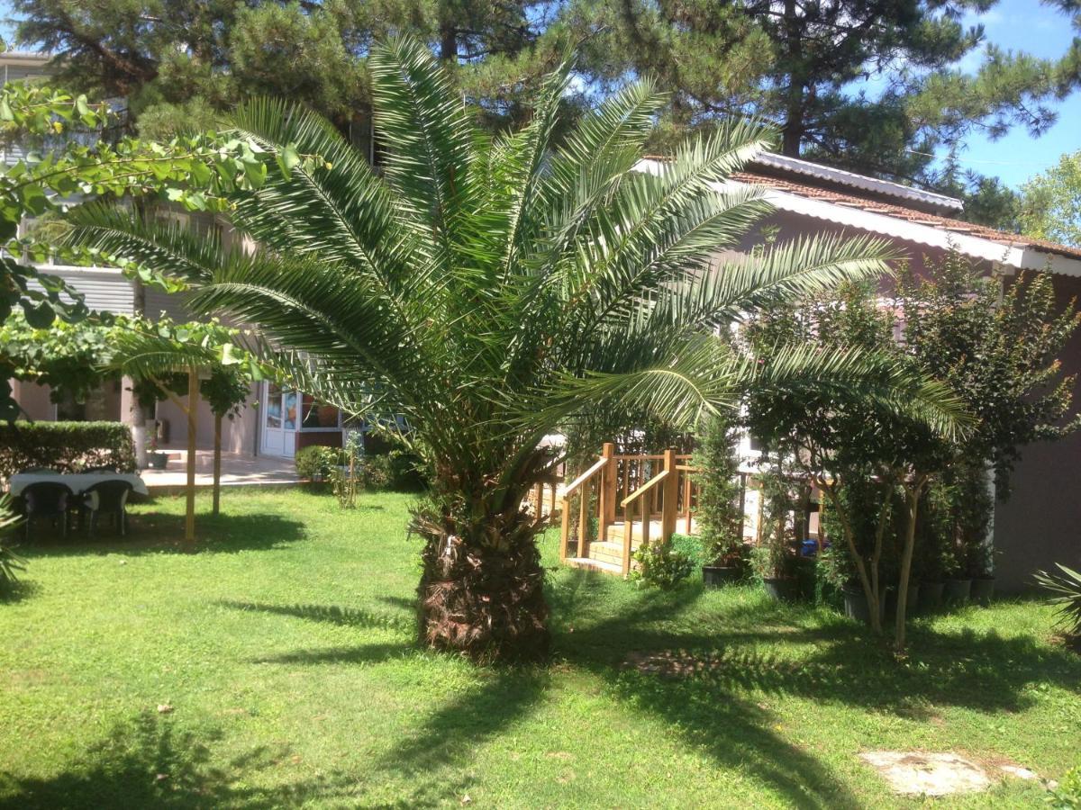 Shila Doert Mevsim Tatil Koyu Hotel Şile Luaran gambar